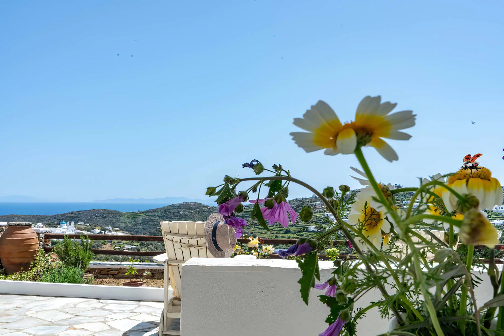 External view _Flora geronti_sifnos