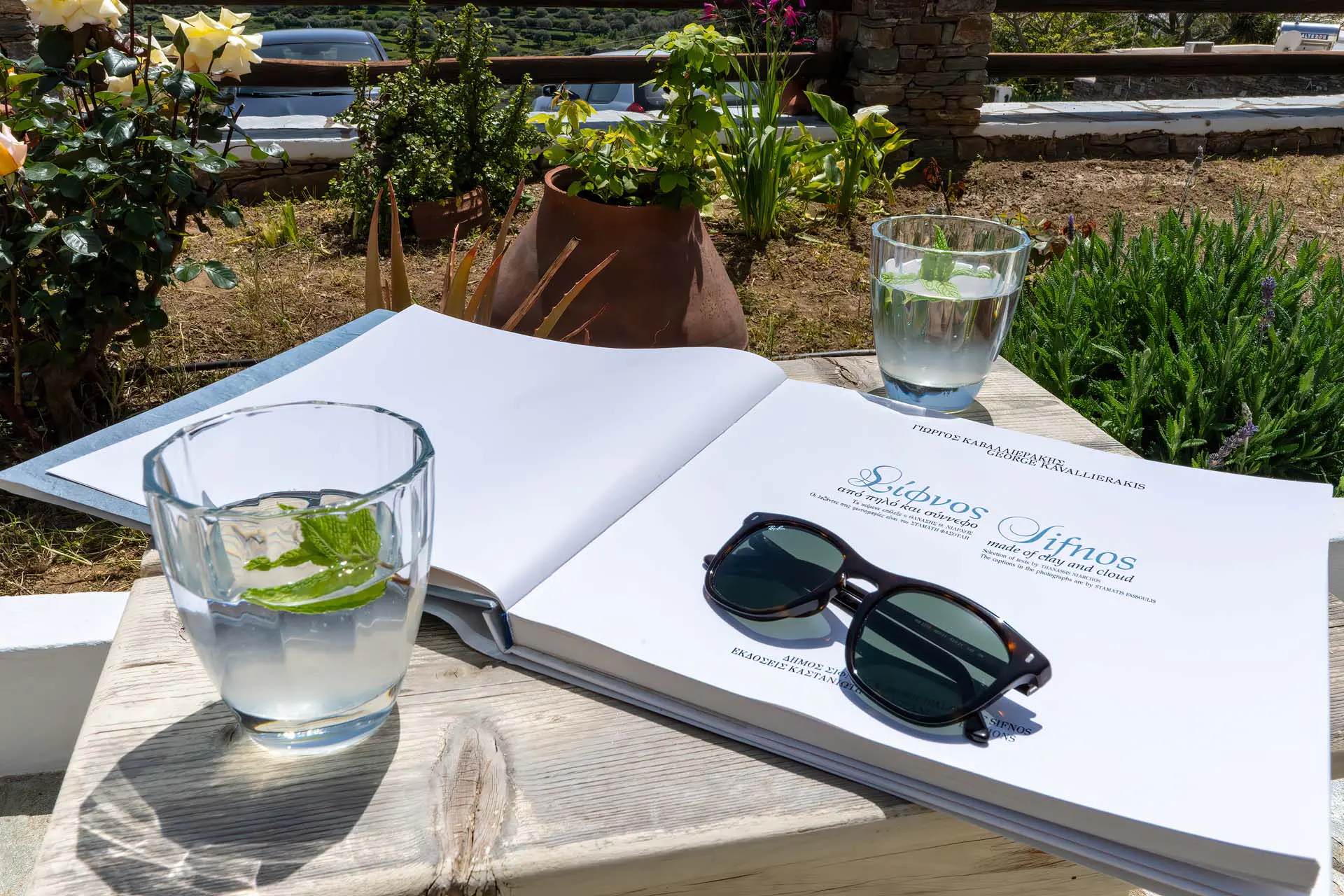 External view _Flora geronti_sifnos